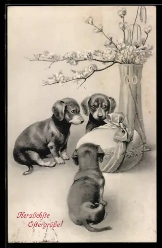 AK Drei junge Dackel mit Riesen-Osterei und Vase mit blühenden Zweigen, Ostergruss