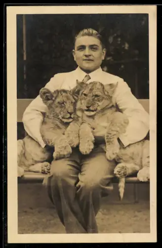 AK Berlin, Zoologischer Garten, Junger Mann mit Löwenbabies auf einer Bank, 1940