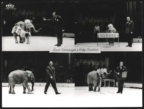 Fotografie unbekannter Fotograf und Ort, Hans Kossmayer mit Elefant Baby Berolina bei verschiedenen Kunststücken