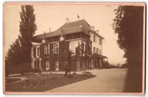 Fotografie unbekannter Fotograf, Ansicht Salenstein, Schloss Arenenberg vom Weg gesehen