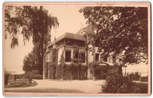 Fotografie unbekannter Fotograf, Ansicht Salenstein, Schloss Arenenberg umgeben von üppigem Grün