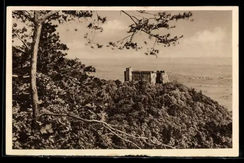 AK Neustadt / Haardt, Blick auf das Schloss, WHW Winterhilfswerk 1934 / 35, Ganzsache