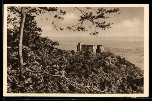 AK Neustadt / Haardt, Blick auf das Schloss, WHW Winterhilfswerk 1934 / 35, Ganzsache