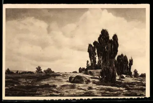 AK Das schöne Deutschland, Bild 5: Lüneburger Heide bei Wilsede, WHW Winterhilfswerk, Ganzsache