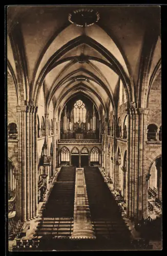 AK Basel, Basler Münster, Blick gegen die Orgelbühne