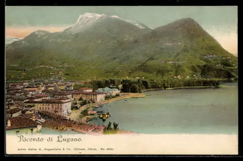 AK Lugano, Panorama