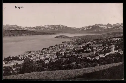 AK Horgen, Panoramaansicht mit See und Bergen