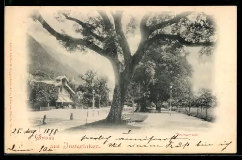 AK Interlaken, Promenade