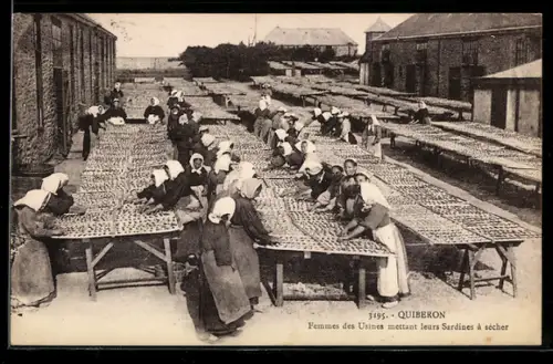 AK Quiberon, Femmes des Usines mettant leurs Sardines à sécher