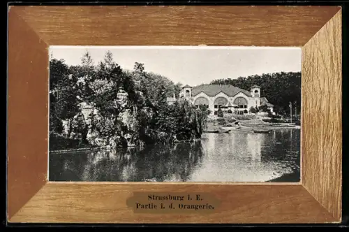 AK Strassburg i. E., Partie i. d. Orangerie