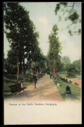 AK Hongkong, Avenue of the Public Gardens