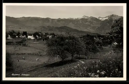 AK Buttikon, Ortsansicht mit Bergpanorama