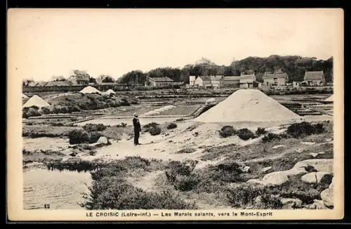 AK Le Croisic /Loire-Inf., Les Marais salants, vers le Mont-Esprit