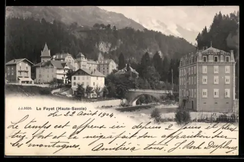 AK Le Fayet /Haute-Savoie, Ortsansicht mit Brücke und Hôtel Terminus