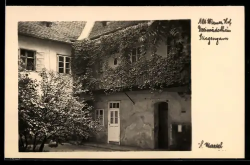 Foto-AK H. Markl: Alt-Wien, Alt-Winer Hof, Dreimädelhaus, Stiegengasse