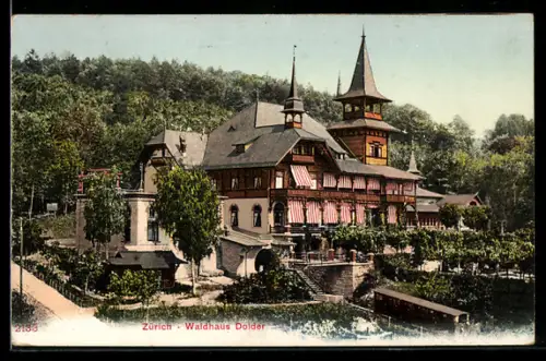 AK Zürich, Waldhaus Dolder