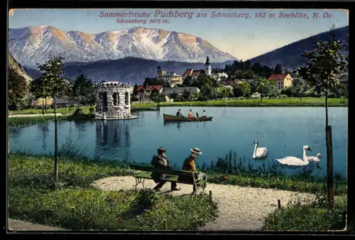 AK Puchberg am Schneeberg, Teilansicht mit Schneeberg