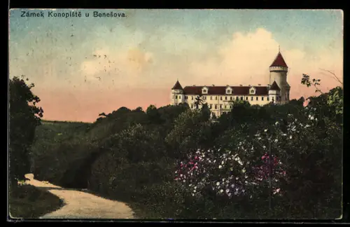 AK Konopiste u Benesova, Zámek
