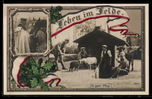 Foto-AK Leben im Felde, Soldaten mit Schafen und Pferd, in guter Pflege
