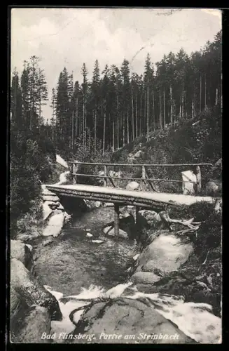 AK Bad Flinsberg, Partie am Steinbach