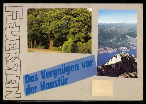 Handgemachte-Collage-AK Feuerstein, Das Vergnügen vor der Haustür, Wald und Fjordlandschaft