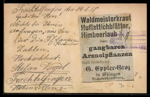 Handgemachte-Collage-AK Zeitungsanzeige Kräuterhandlung G. Eppler-Groz für Ankauf von Arzneipflanzen