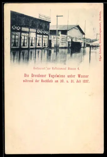 AK Dresden, Hochwasser 1897, Die Dresdener Vogelwiese