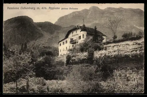 AK Appiano presso Bolzano, Pension Liebenburg mit Umgebung