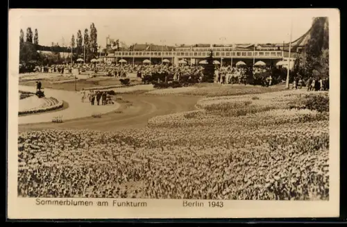 AK Berlin, Sommerblumen am Funkturm 1943, Ausstellung