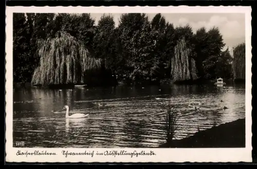 AK Kaiserslautern, Schwanenteich auf dem Ausstellungsgelände