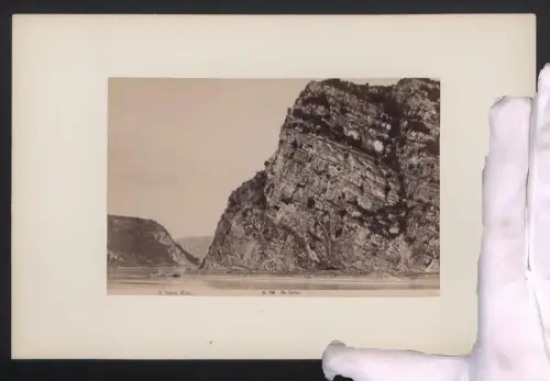 Fotografie unbekannter Fotograf, Ansicht Mainz, Die Loreley, Grossformat 16 x 25cm