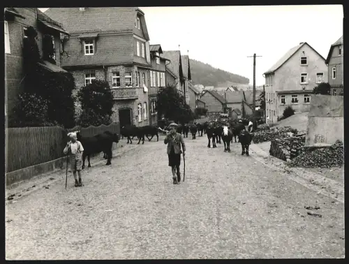 Fotografie Dr. H. Weskamp, Wilmersdorf, Sächsischestr. 38, Ansicht Hirzenhain, Zwei Jungen beim Viehtrieb am Gasthof
