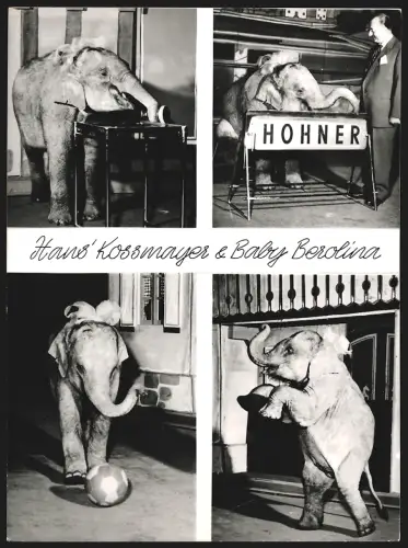 Fotografie Dompteur Hans Kossmayer und Elefant Baby Berolina bei verschiedenen Kunststücken, Zirkus, 25 x 19cm