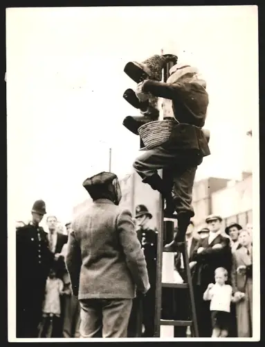Fotografie Gordon Evans entfernt Bienen von einer Ampel in London