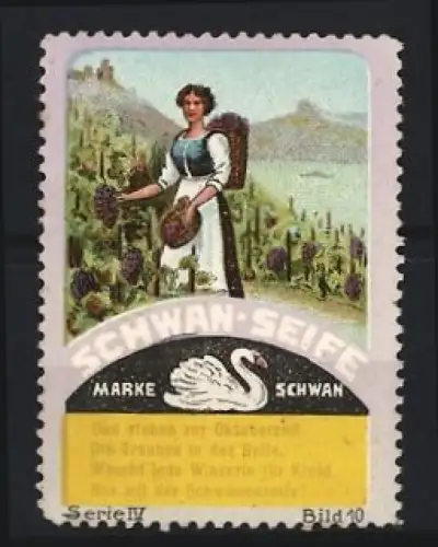 Reklamemarke Schwan-Seife, Frau bei Weinlese mit Trauben und Schwan-Logo