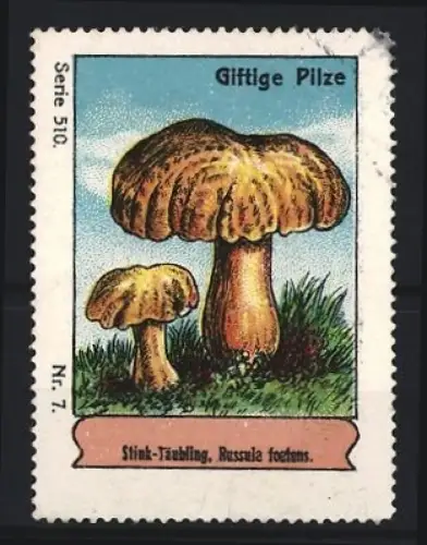 Reklamemarke Giftige Pilze, Stink-Täubling, Russula foetens