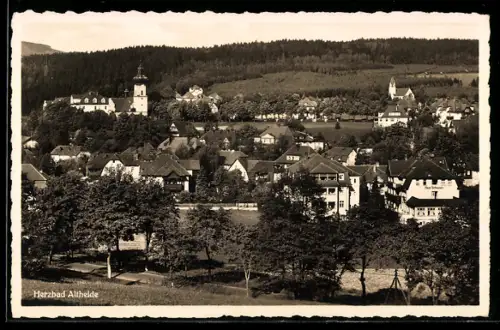 AK Bad Altheide, Ortsansicht am Hang