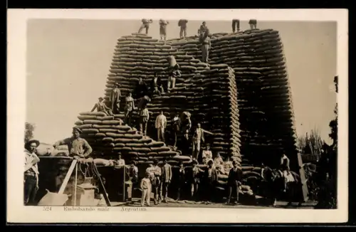 AK Argentina, Embolsando maiz