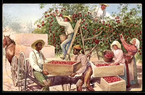 AK Apfelernte mit Pferdegespann