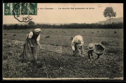 AK Kartoffelernte, Drei Personen auf dem Feld