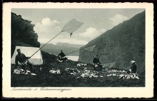 AK Fischer mit Netzen