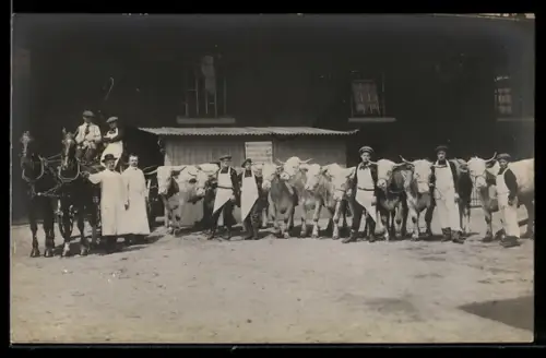 Foto-AK Fleischer mit Rindern vor dem Schlachthaus