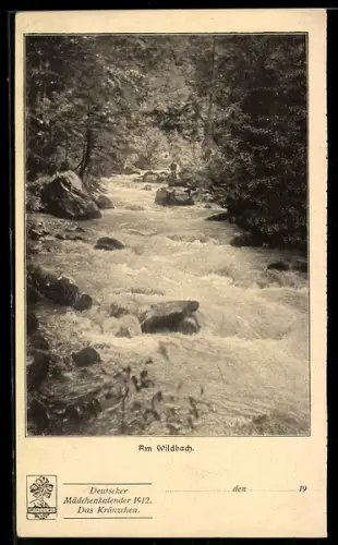 AK Deutscher Mädchenkalender 1912, Das Kränzchen, Am Wildbach, Zeitung