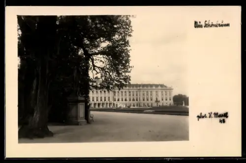 AK Wien, Schönbrunn, Schlossansicht mit Standbild
