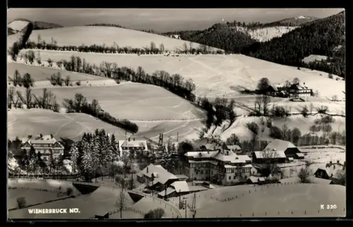 AK Wienerbruck /Niederösterreich, Verschneite Ortsansicht mit Brücke