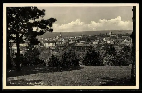 AK Bruck a. d. Leitha, Ortspanorama mit Fernblick
