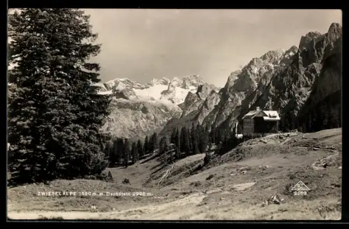 AK Zwieselalpe, Bergpanorama mit Hütte und Dachstein