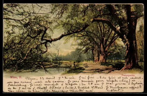 AK Wien, Praterpartie am Wasser mit Uferweg