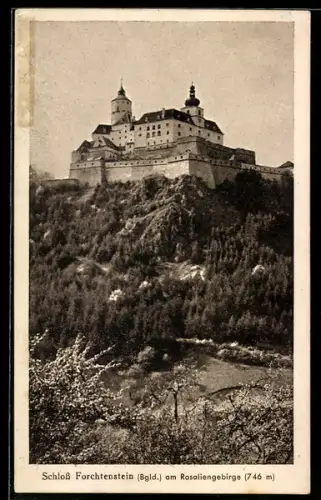 AK Forchtenstein am Rosaliengebirge, Blick zum Schloss