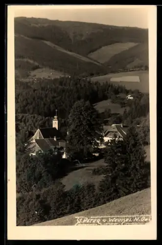 AK St. Peter a. Wechsel, Ortspartie mit Kirche